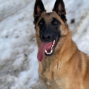 Meet your Posher, Lori